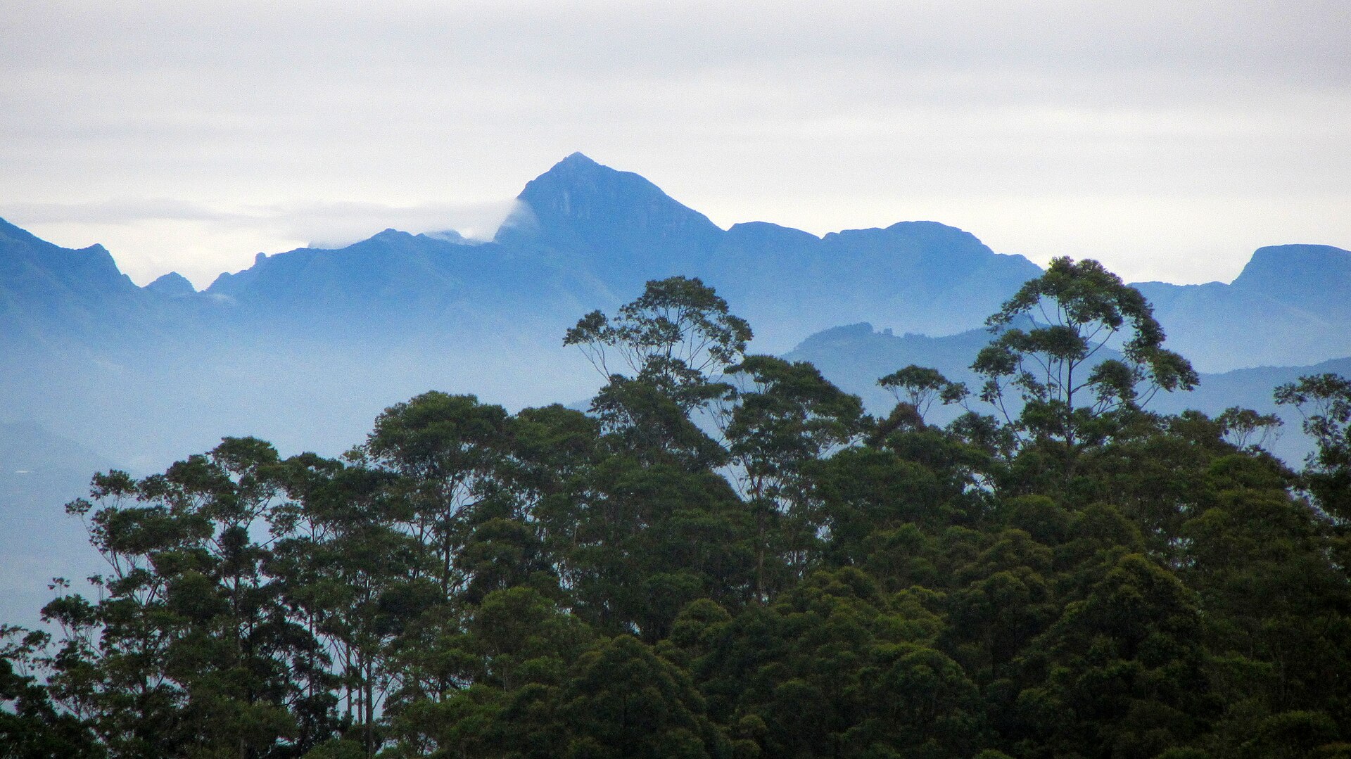 The Knuckles mountain range in Sri Lanka