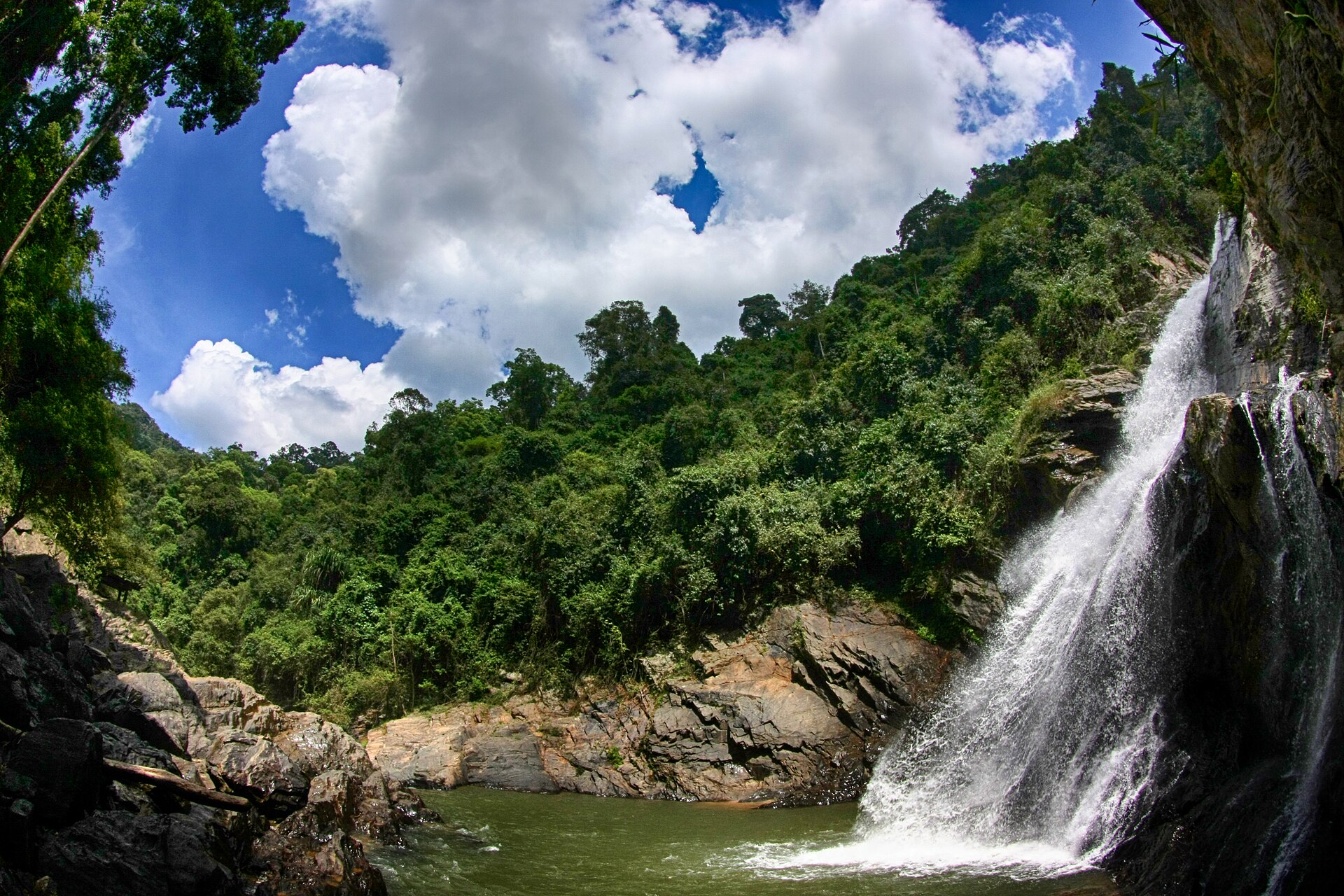 Cloud forest slopes of Khao Luang National Park