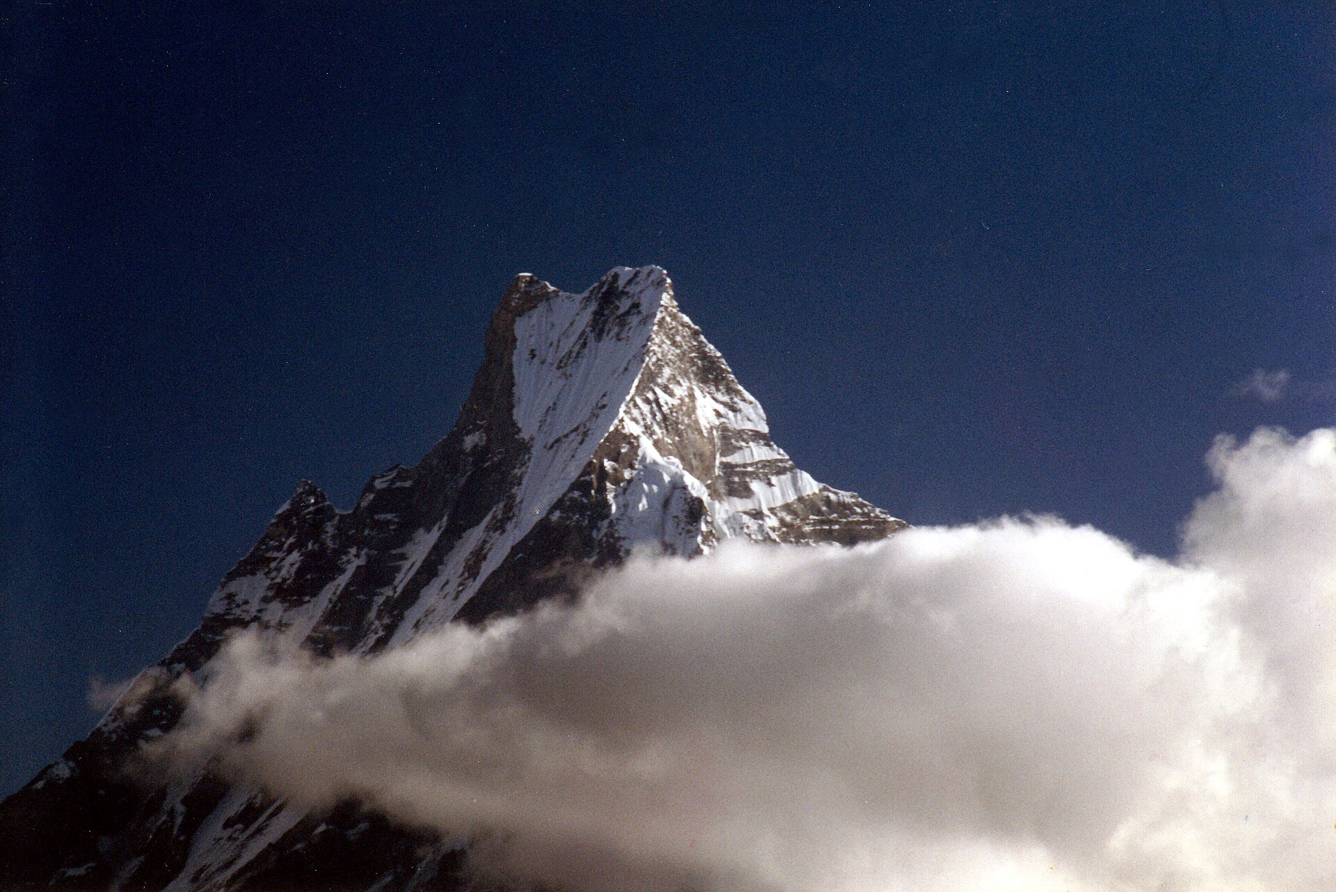 Tadapani, a forested village on the southern Annapurna approach near Mardi Himal